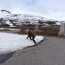 Viola im Schnee